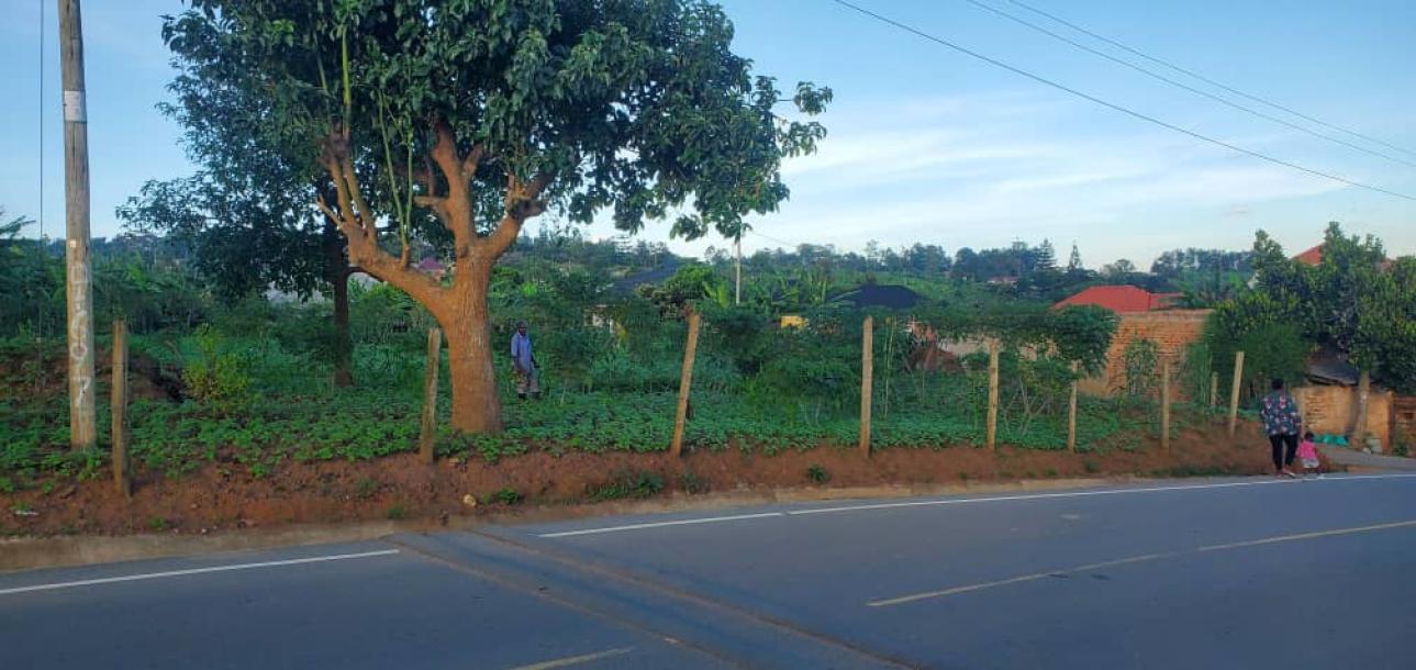 land in nkokonjeru-4