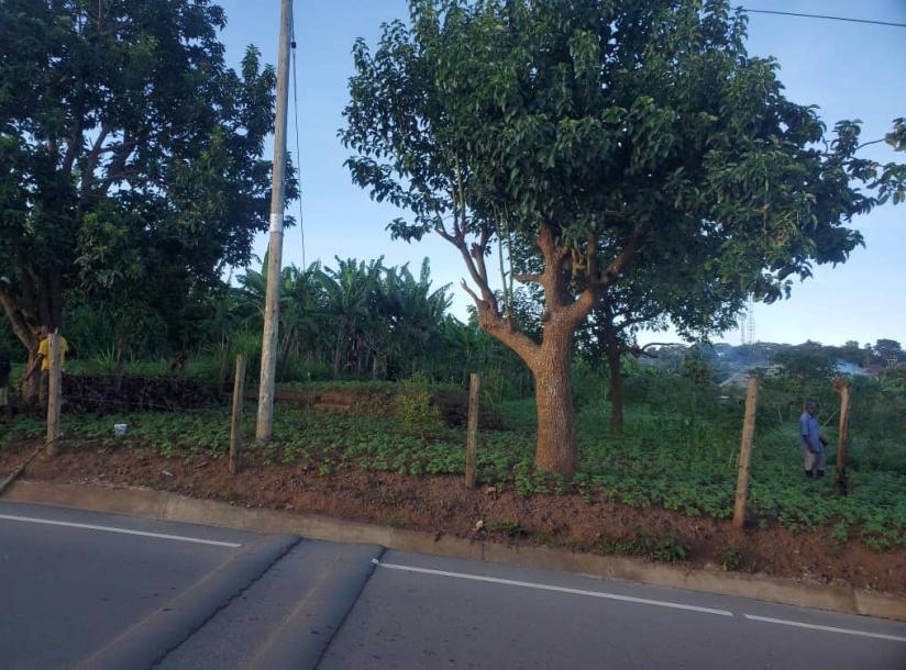 land in nkokonjeru-2