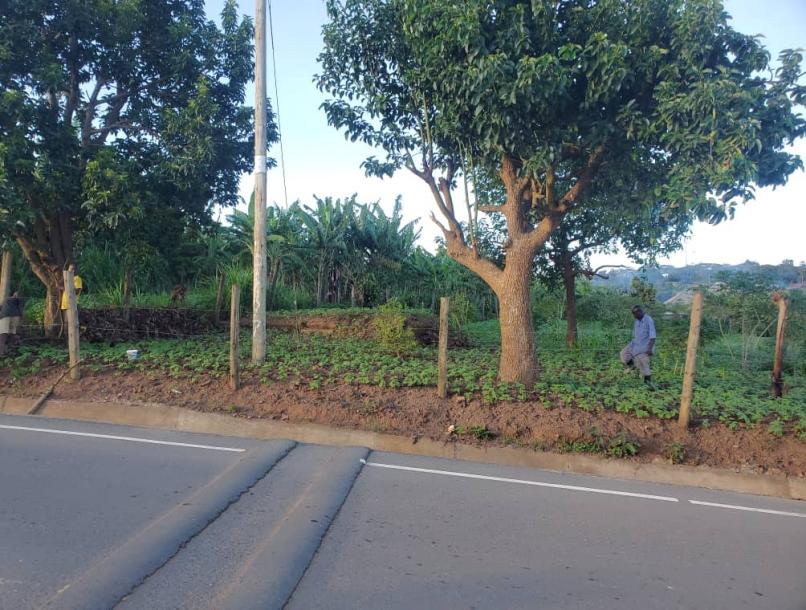 land in nkokonjeru-5