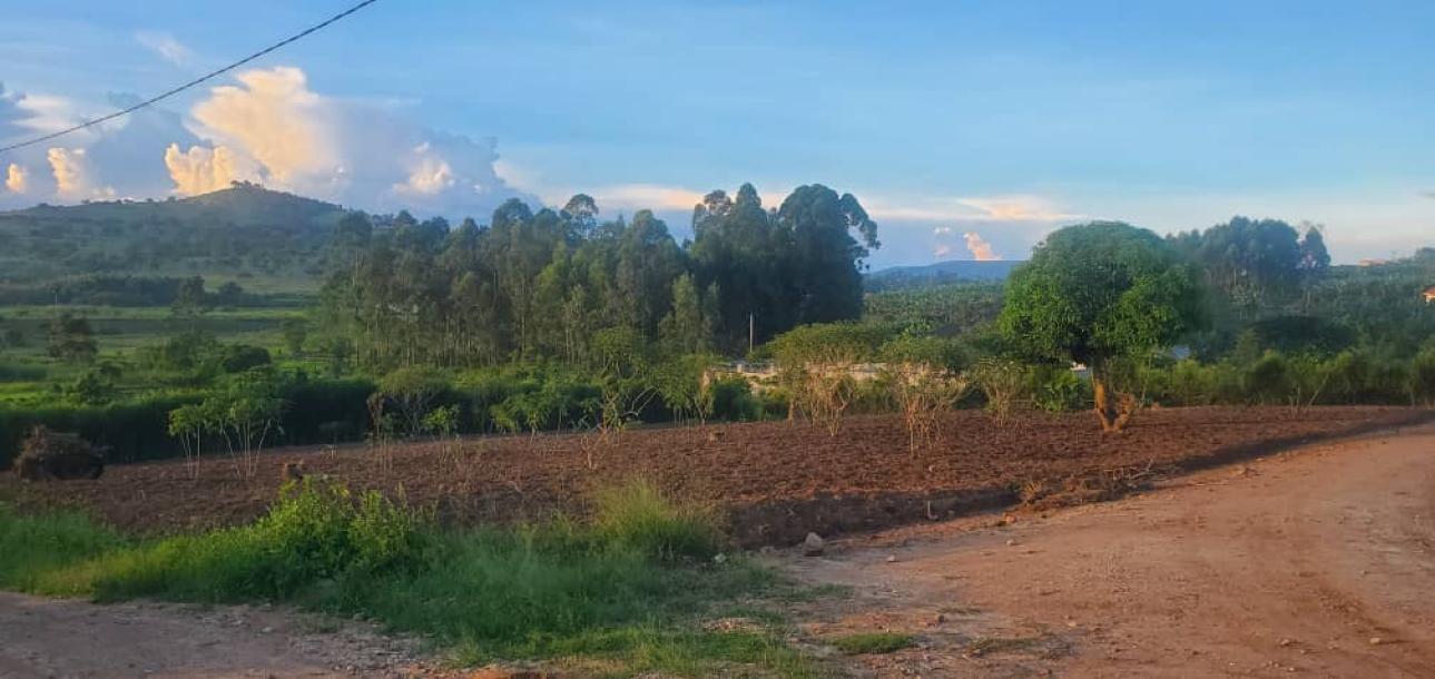 land in nkokonjeru-4