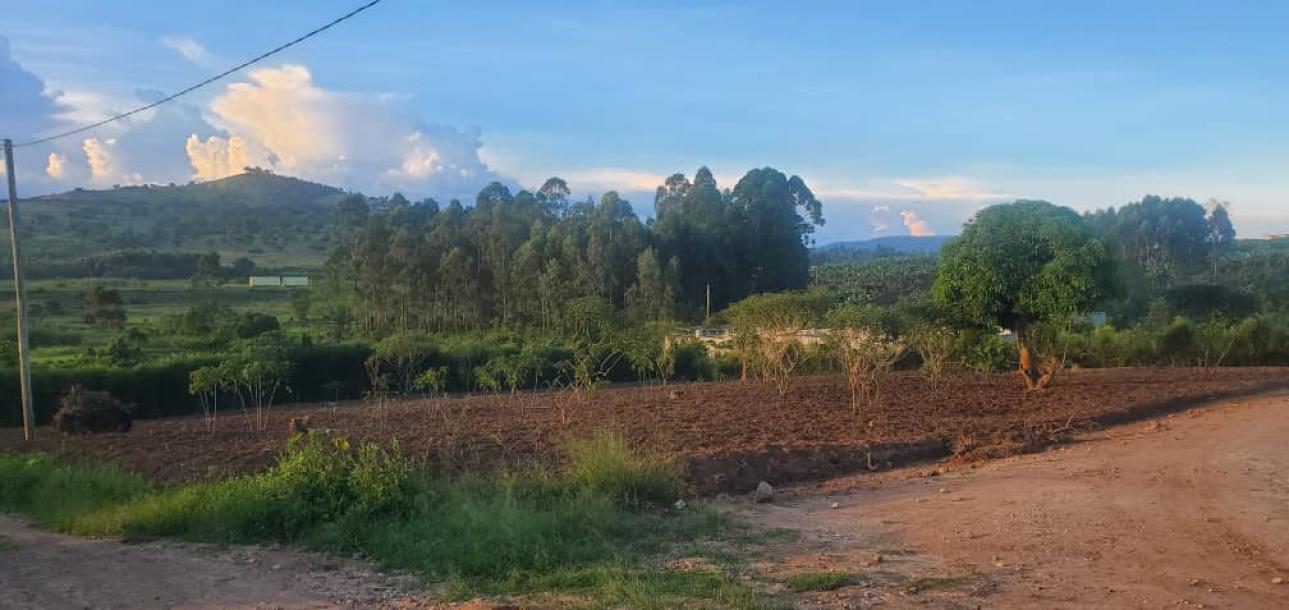 land in nkokonjeru-5