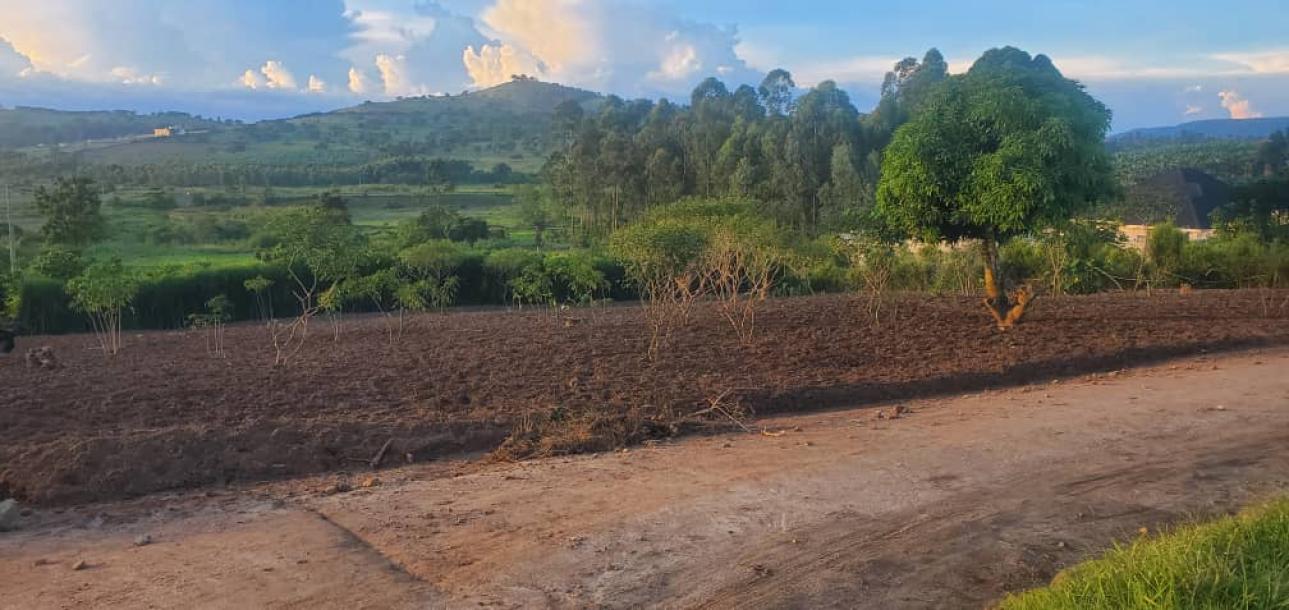 land in nkokonjeru-3