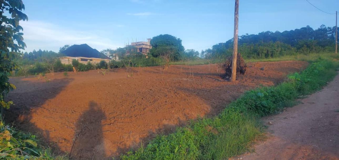 land in nkokonjeru-6