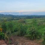 land in nkokonjeru