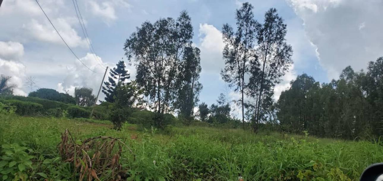 land in nkokonjeru-2