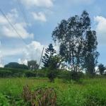 land in nkokonjeru