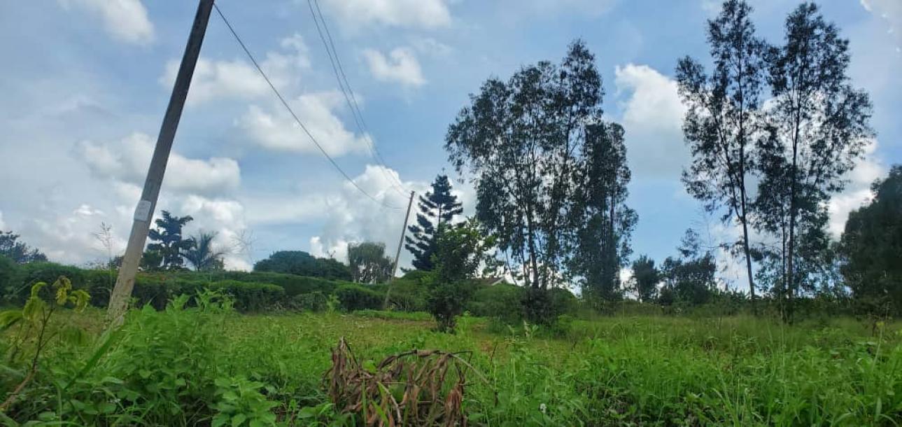 land in nkokonjeru-1
